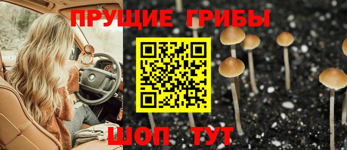 Советский  Псилоцибиновые грибы прущие грибы  Вход с VPN 