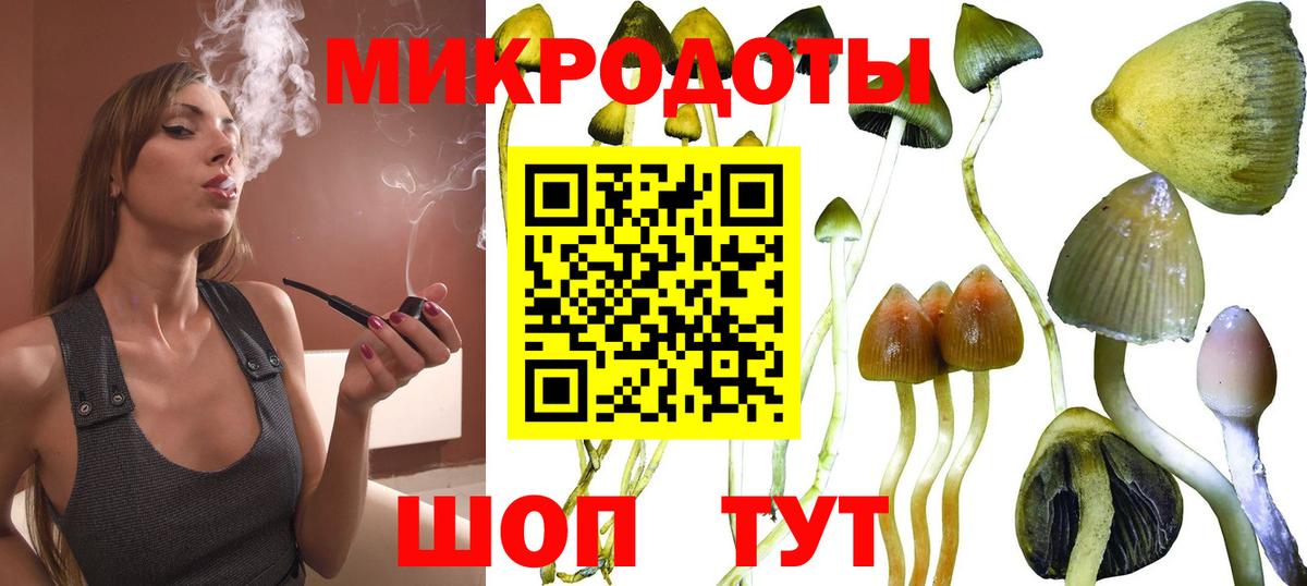 Псилоцибиновые грибы Magic Shrooms Советский